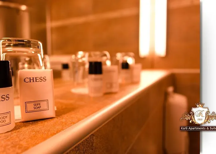 アパートホテル Karli Suites Leipzig 3*